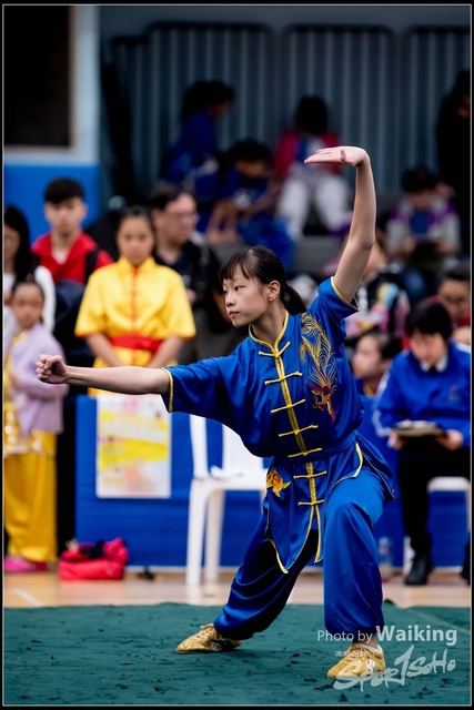 2019-01-20 WuShuu 0587