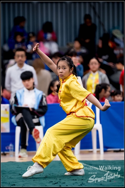 2019-01-20 WuShuu 0619