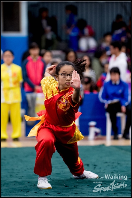 2019-01-20 WuShuu 0663
