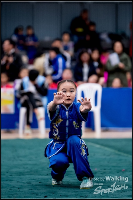 2019-01-20 WuShuu 0711