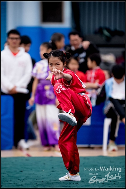 2019-01-20 WuShuu 0730