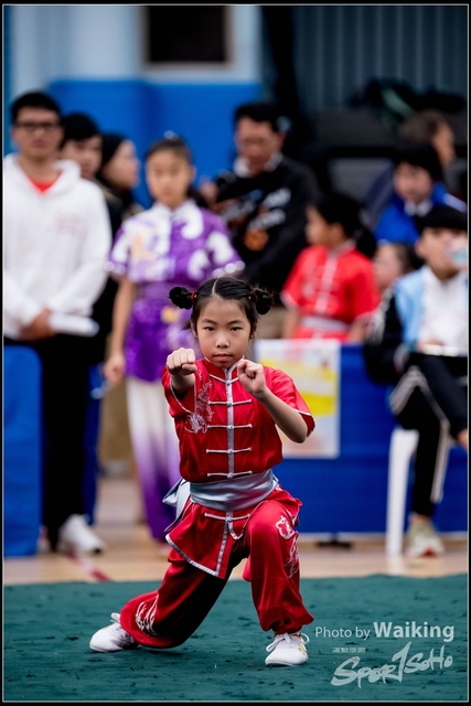 2019-01-20 WuShuu 0731