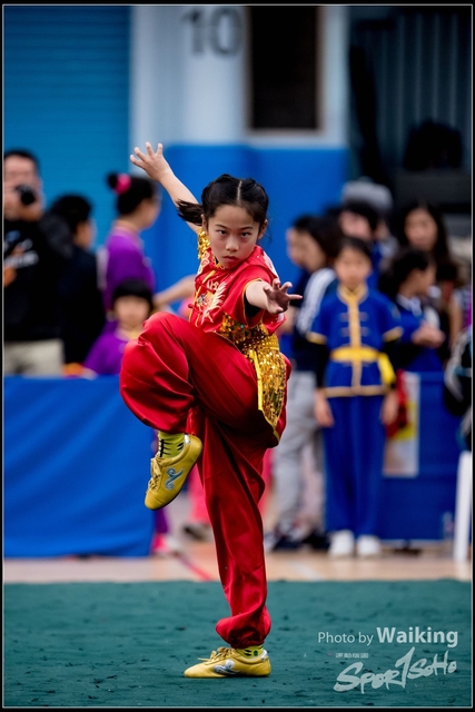 2019-01-20 WuShuu 0779