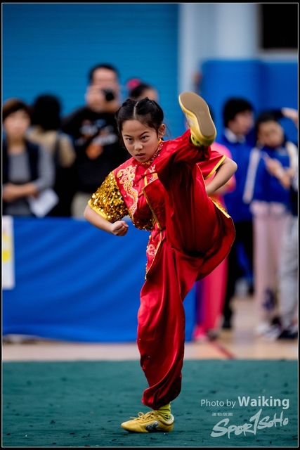 2019-01-20 WuShuu 0781