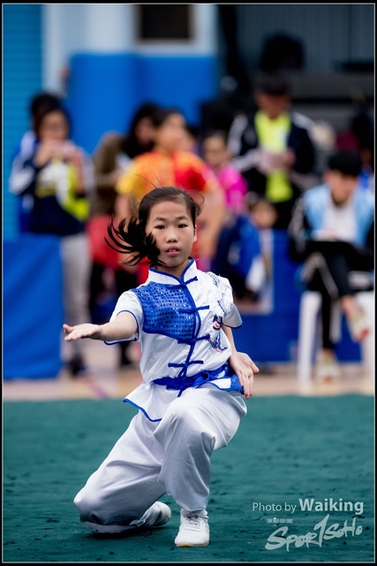 2019-01-20 WuShuu 0810