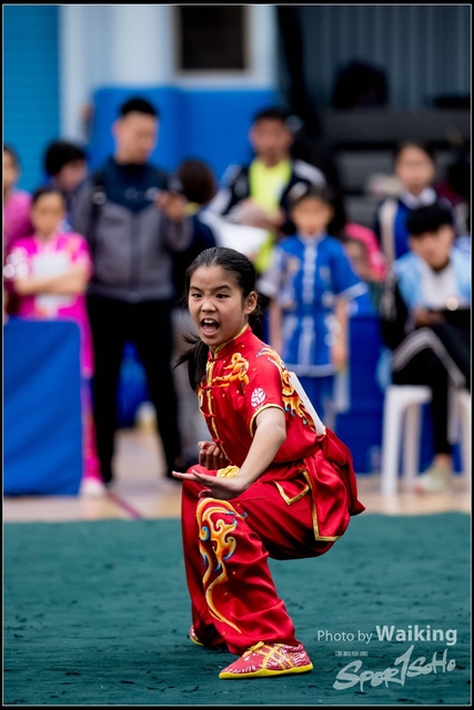 2019-01-20 WuShuu 0817
