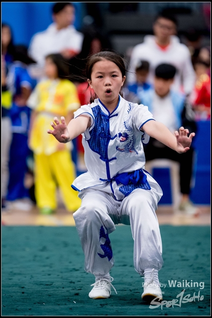 2019-01-20 WuShuu 0864