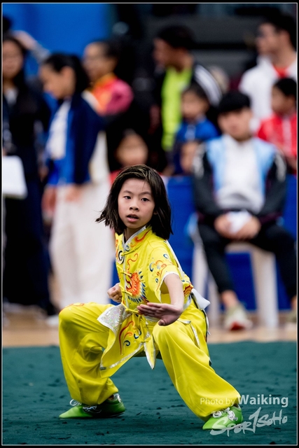 2019-01-20 WuShuu 0865
