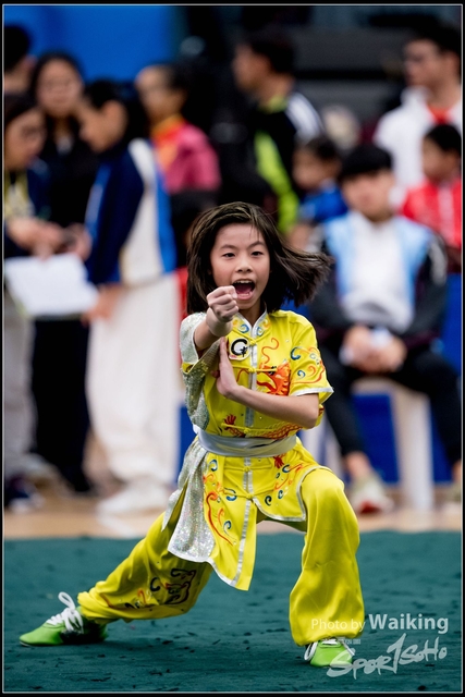 2019-01-20 WuShuu 0866