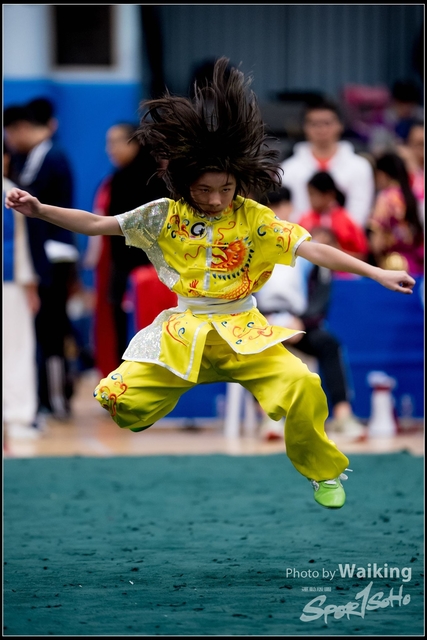 2019-01-20 WuShuu 0868