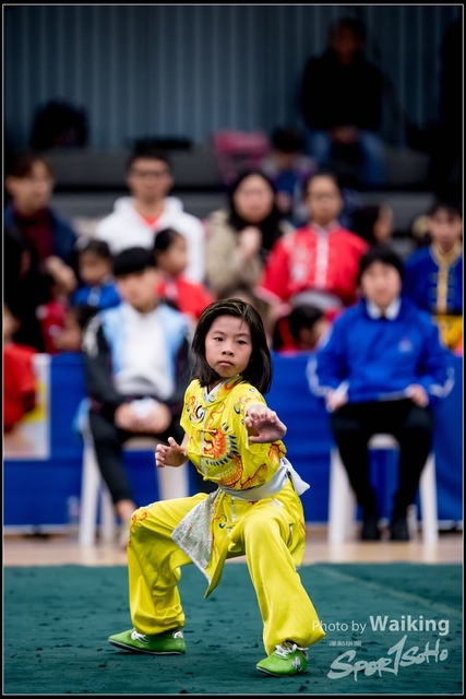 2019-01-20 WuShuu 0871