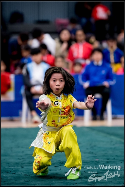 2019-01-20 WuShuu 0878