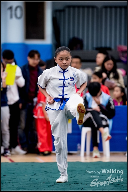 2019-01-20 WuShuu 0887