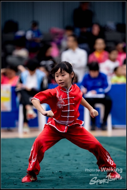 2019-01-20 WuShuu 0935