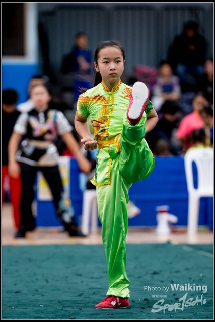 2019-01-20 WuShuu 0990