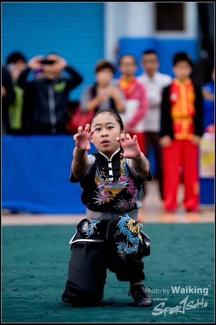 2019-01-20 WuShuu 1003