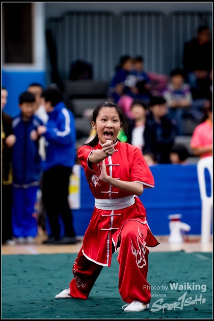 2019-01-20 WuShuu 1015