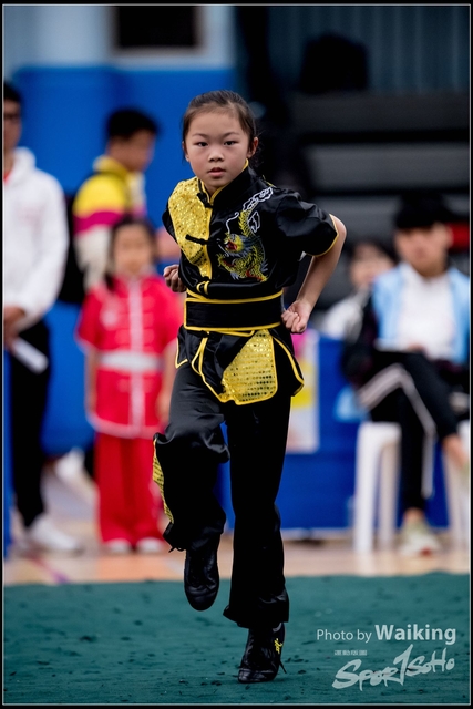 2019-01-20 WuShuu 1115