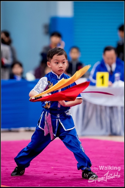 2019-01-20 WuShuu 1217