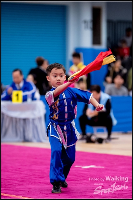 2019-01-20 WuShuu 1222