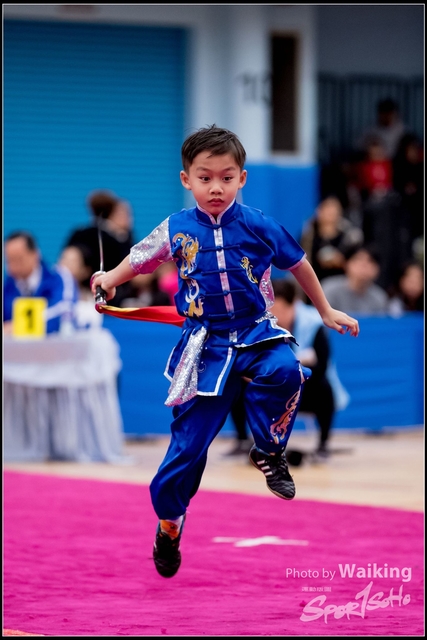 2019-01-20 WuShuu 1223