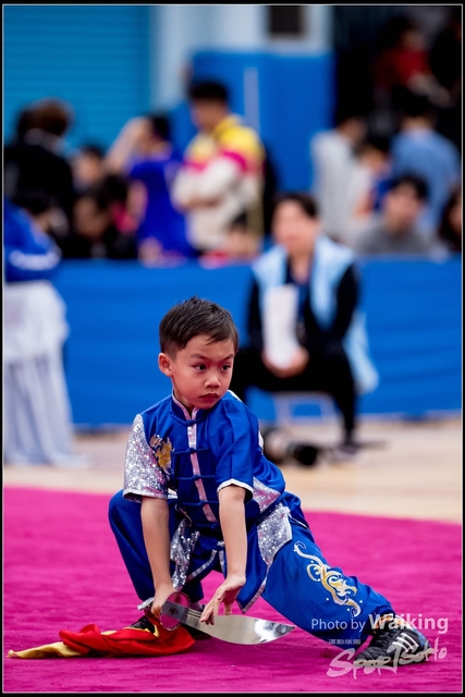 2019-01-20 WuShuu 1228