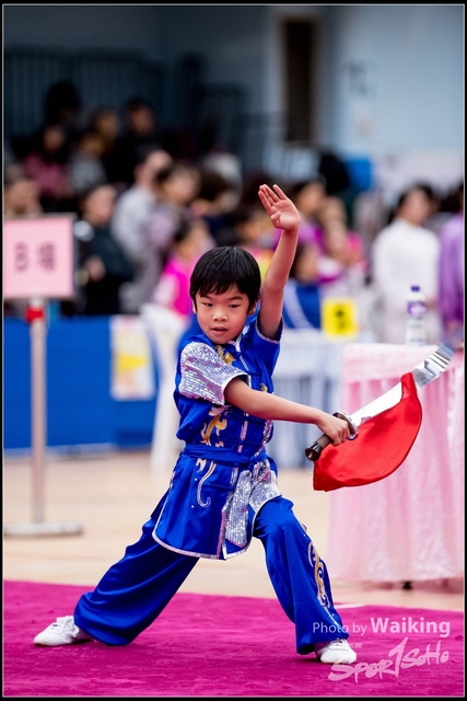 2019-01-20 WuShuu 1238