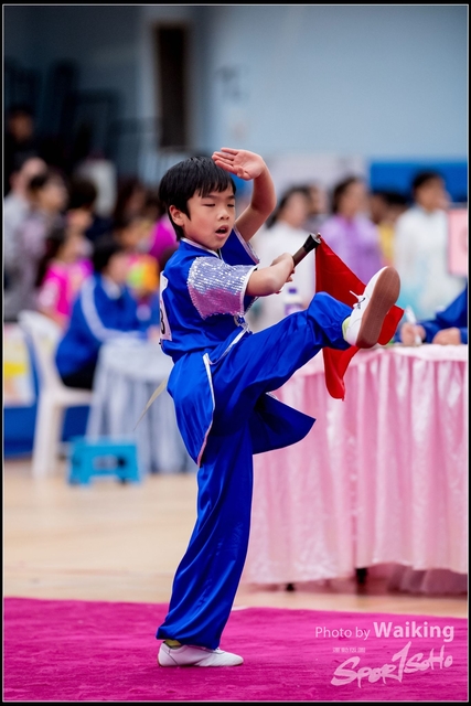 2019-01-20 WuShuu 1239
