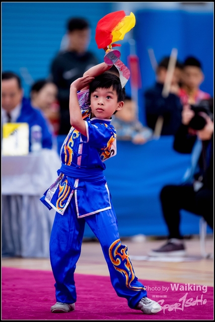 2019-01-20 WuShuu 1273