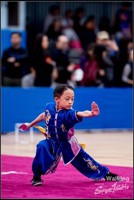 2019-01-20 WuShuu 1285