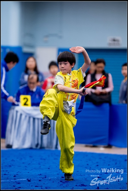 2019-01-20 WuShuu 1299
