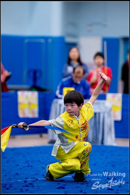 2019-01-20 WuShuu 1301