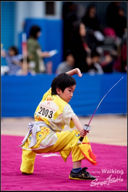 2019-01-20 WuShuu 1309