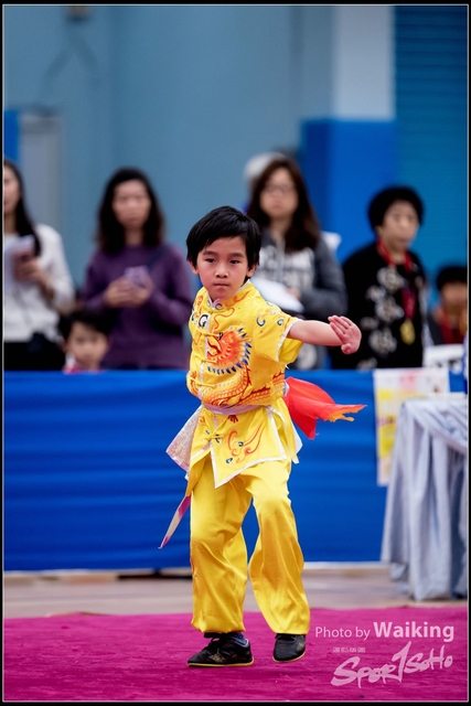 2019-01-20 WuShuu 1310