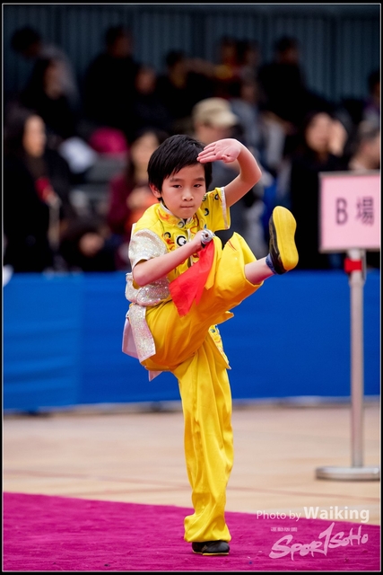 2019-01-20 WuShuu 1312