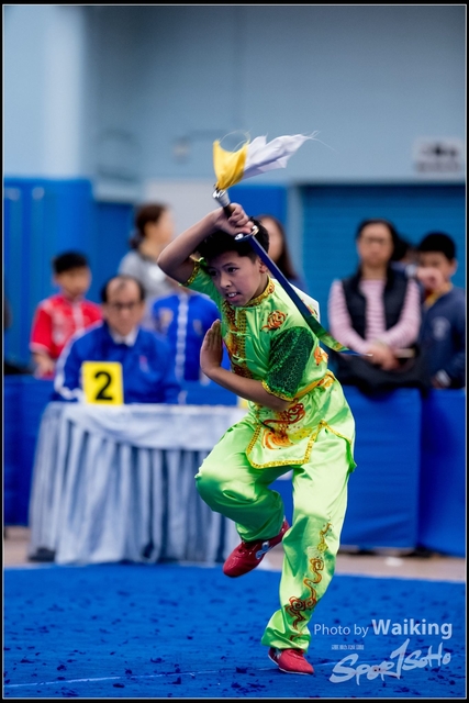 2019-01-20 WuShuu 1315