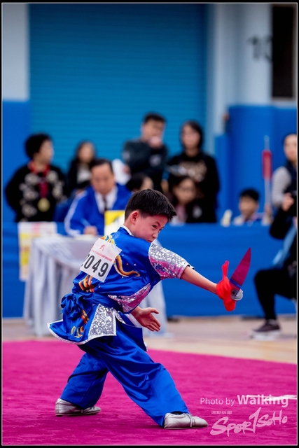2019-01-20 WuShuu 1324