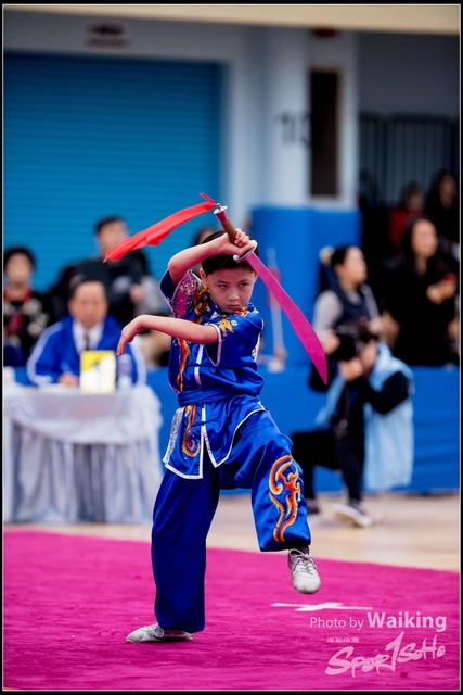 2019-01-20 WuShuu 1330