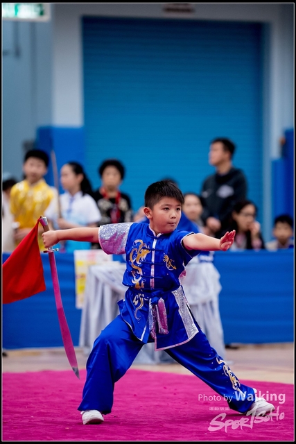 2019-01-20 WuShuu 1333