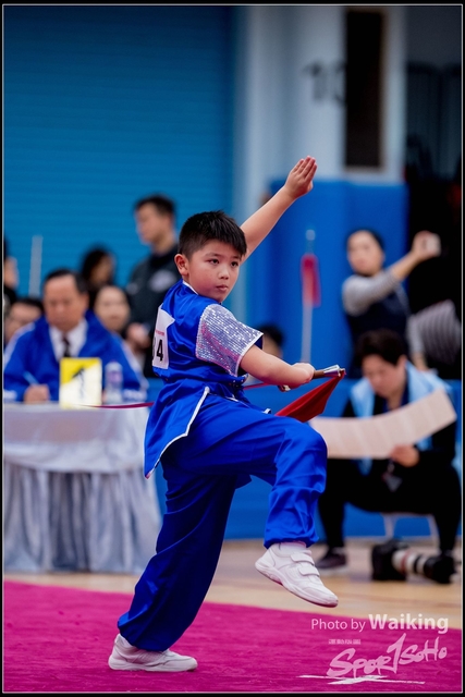 2019-01-20 WuShuu 1334