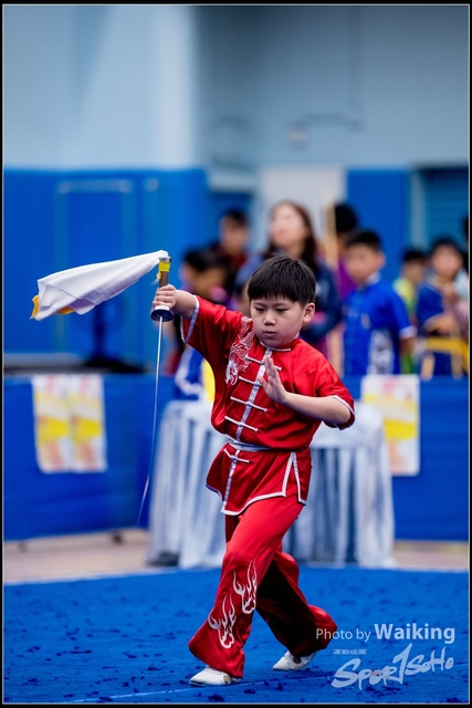 2019-01-20 WuShuu 1339