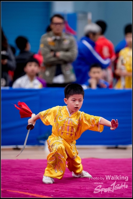 2019-01-20 WuShuu 1345