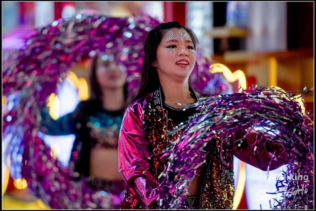 2019-02-05 Night Parade 0217