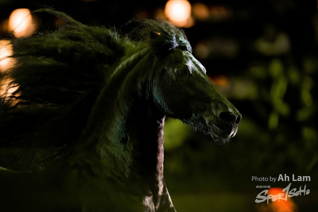 ND5_3577-編輯