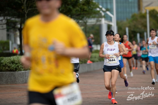 Sogo_Run_SOHO-442