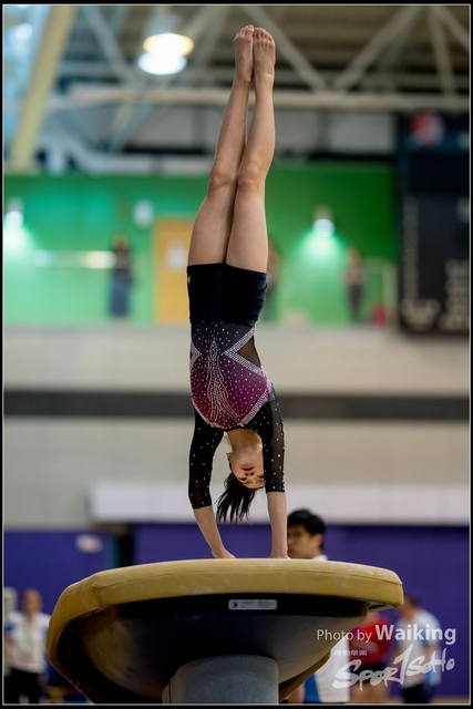 2019-03-31 Artistic Gym 0016
