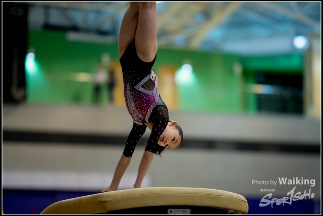2019-03-31 Artistic Gym 0024
