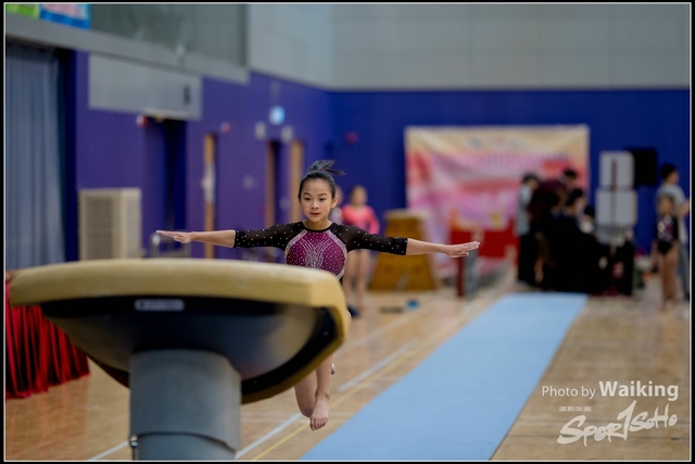 2019-03-31 Artistic Gym 0026
