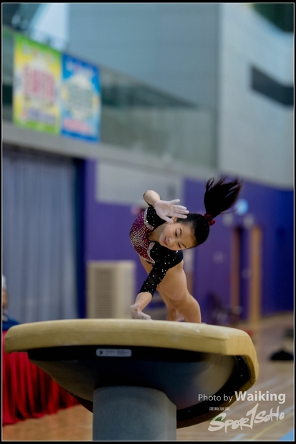 2019-03-31 Artistic Gym 0027