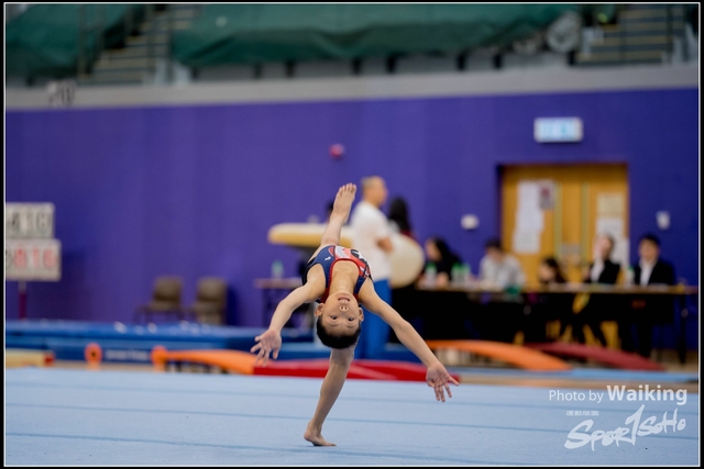 2019-03-31 Artistic Gym 0039